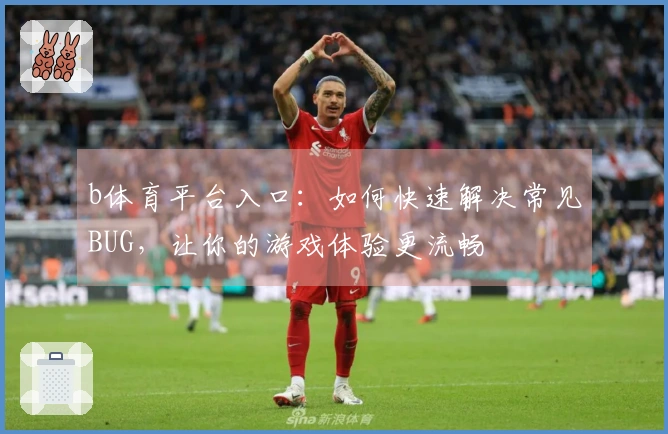 b体育平台入口：如何快速解决常见BUG，让你的游戏体验更流畅