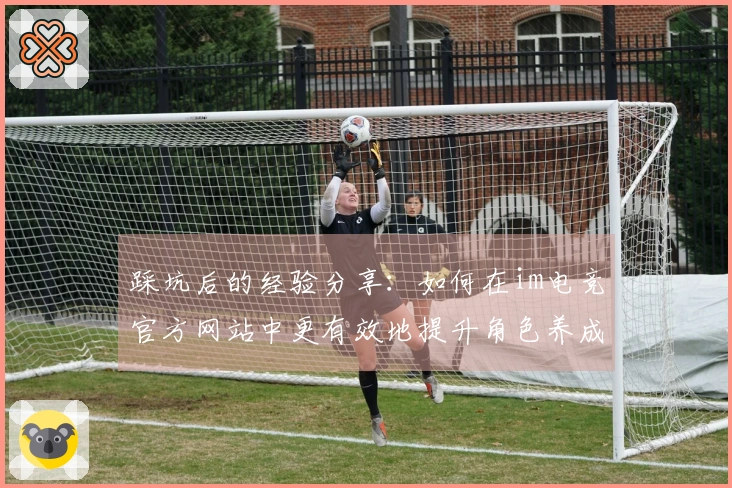 踩坑后的经验分享：如何在im电竞官方网站中更有效地提升角色养成效率
